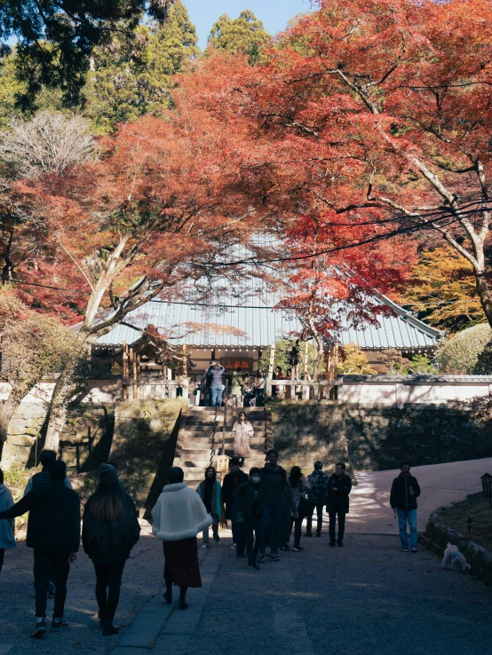 many people walk up stairs in the autumn