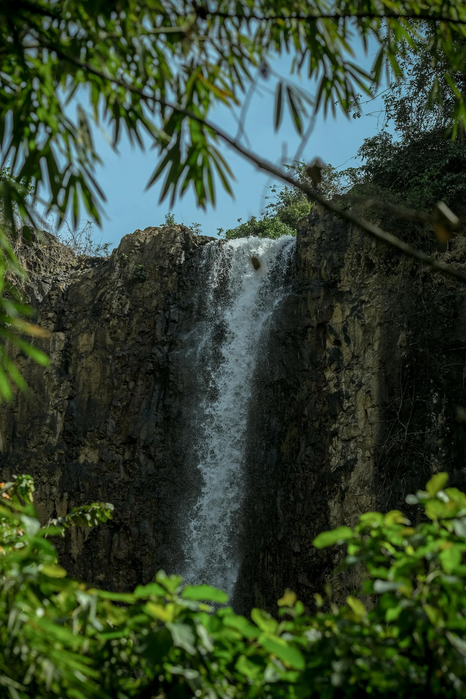 a waterfall is surrounded by vegetation and trees