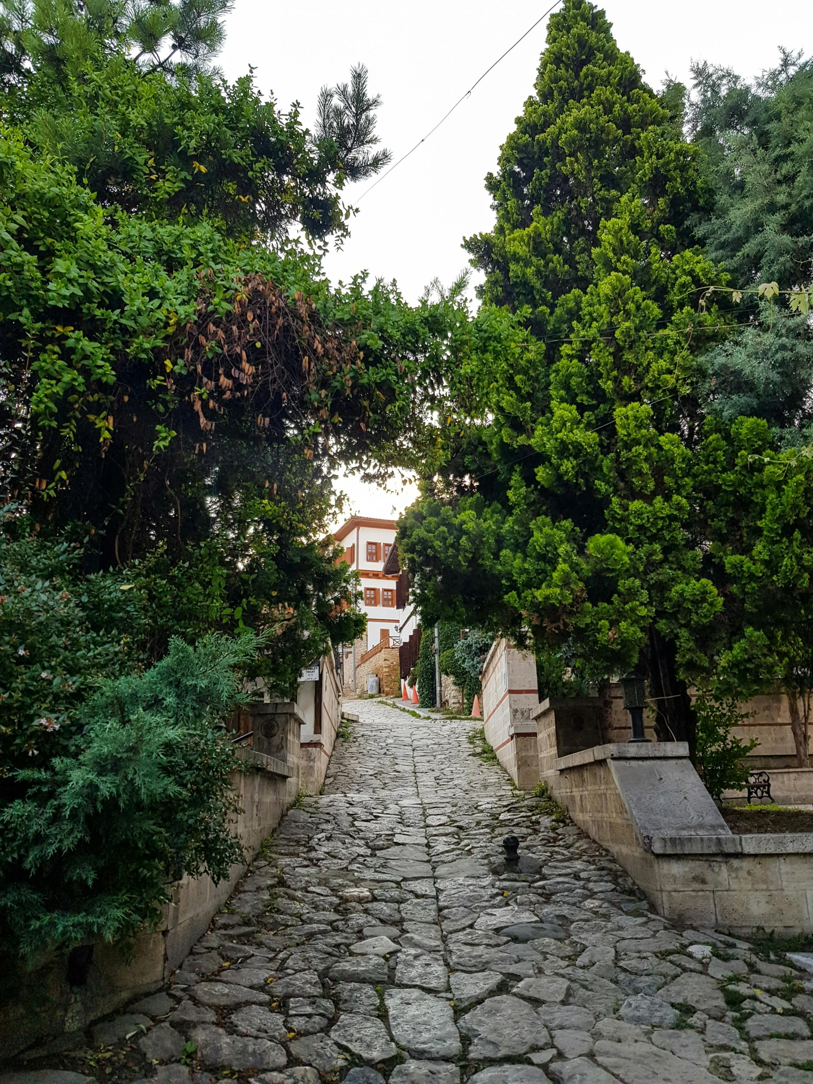 a cobblestone walkway is flanked by some trees