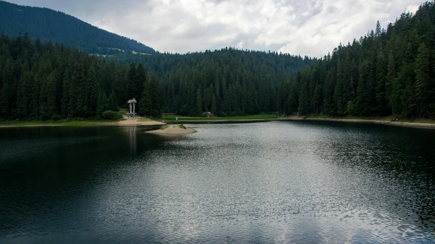 a lake surrounded by forest and lots of trees