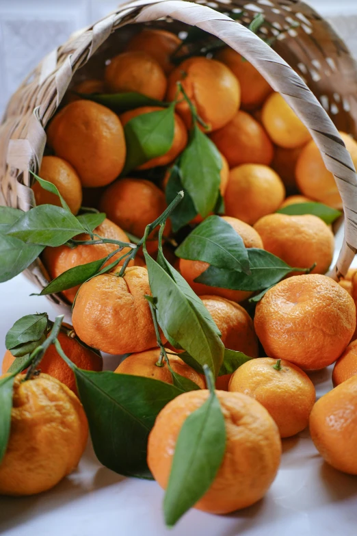 an orange in a basket surrounded by leaves