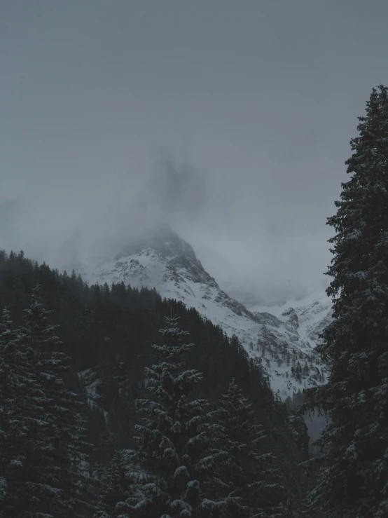 a very tall mountain covered in snow and surrounded by trees