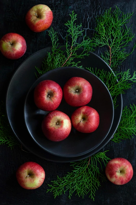 apples are placed on two plates with evergreen nches