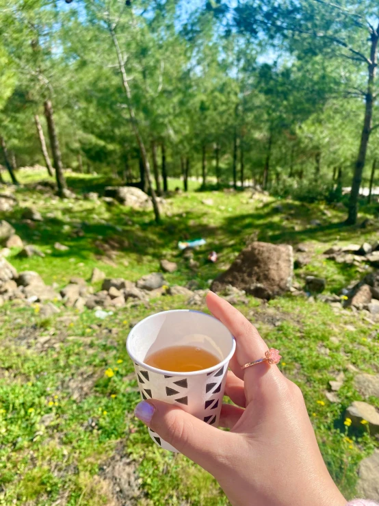 a person holding up a cup of tea on the ground