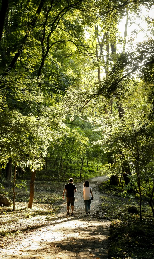 two people walking down a road in the woods