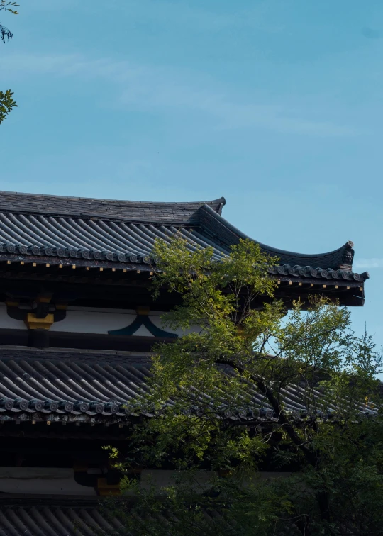 the top part of a tall building with black roof