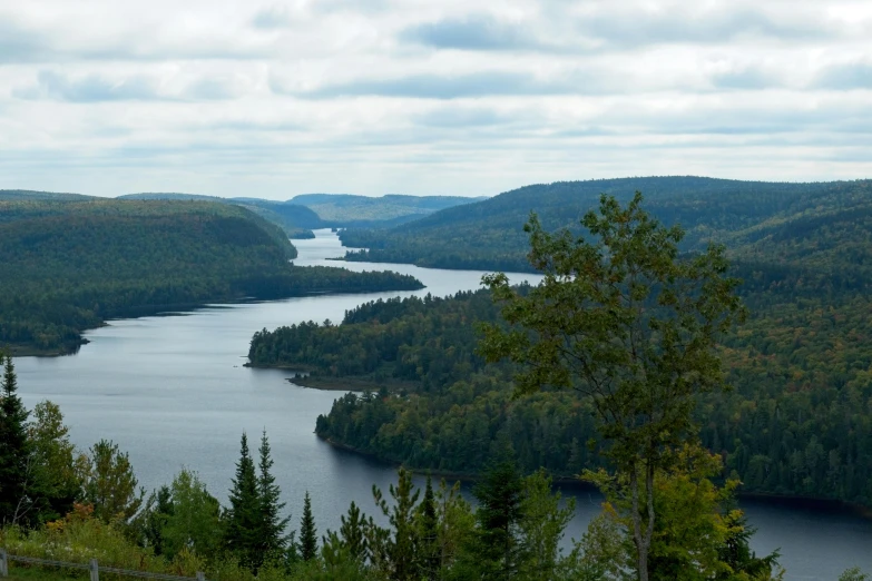 a lake surrounded by forest with lots of water