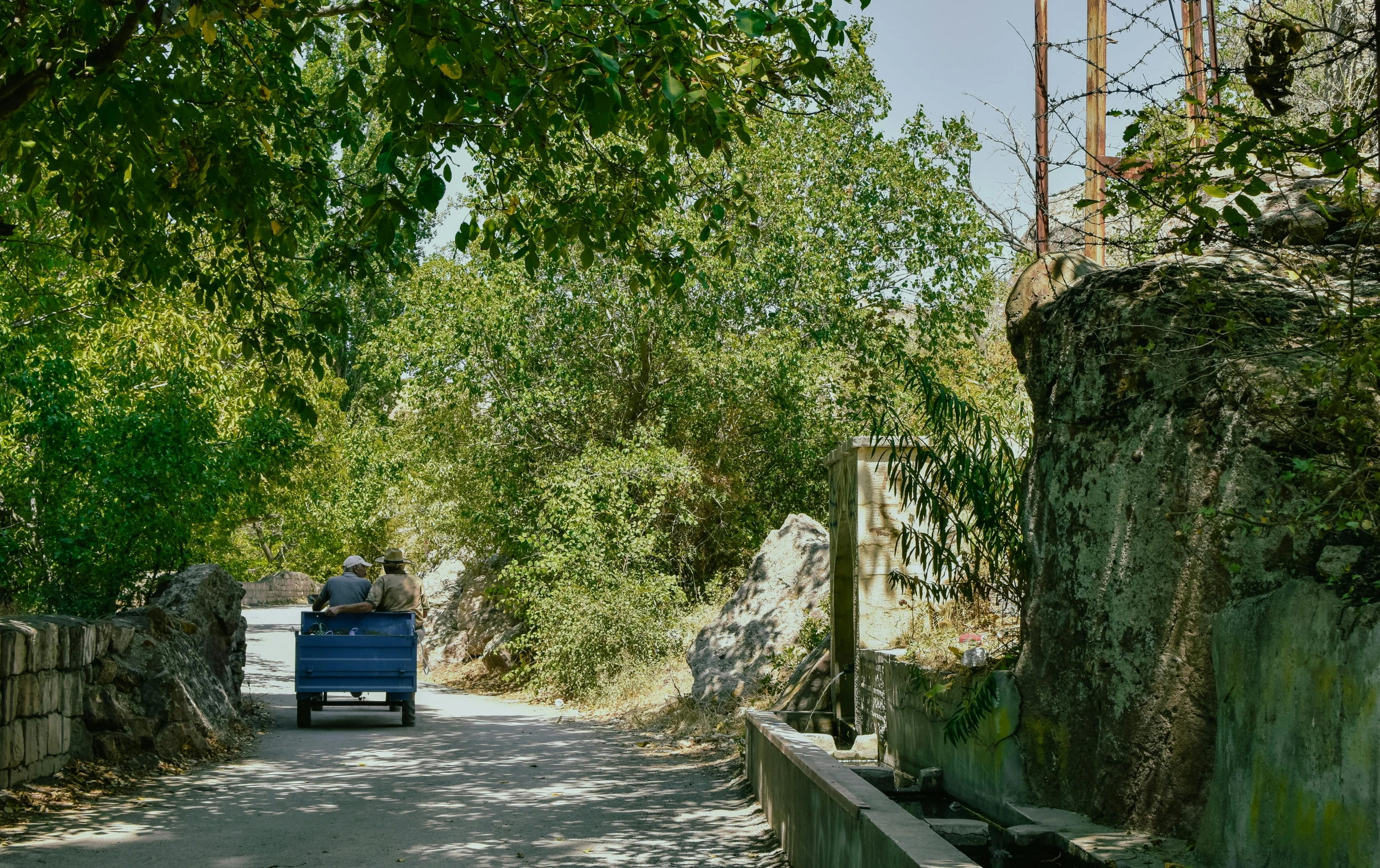 a man driving a cart on a road in the middle of green trees