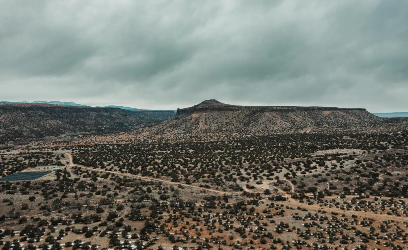 the desert is covered with little rocks and small trees