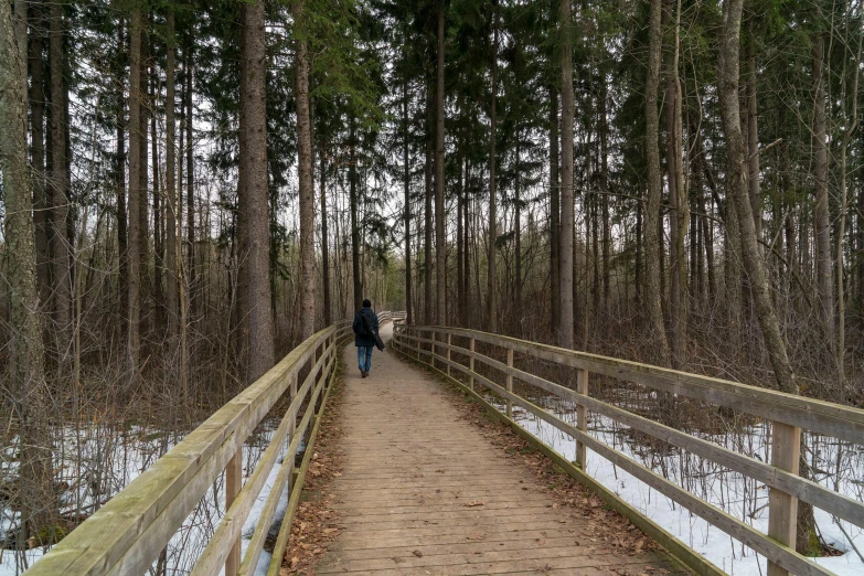 a person on a footbridge in the woods