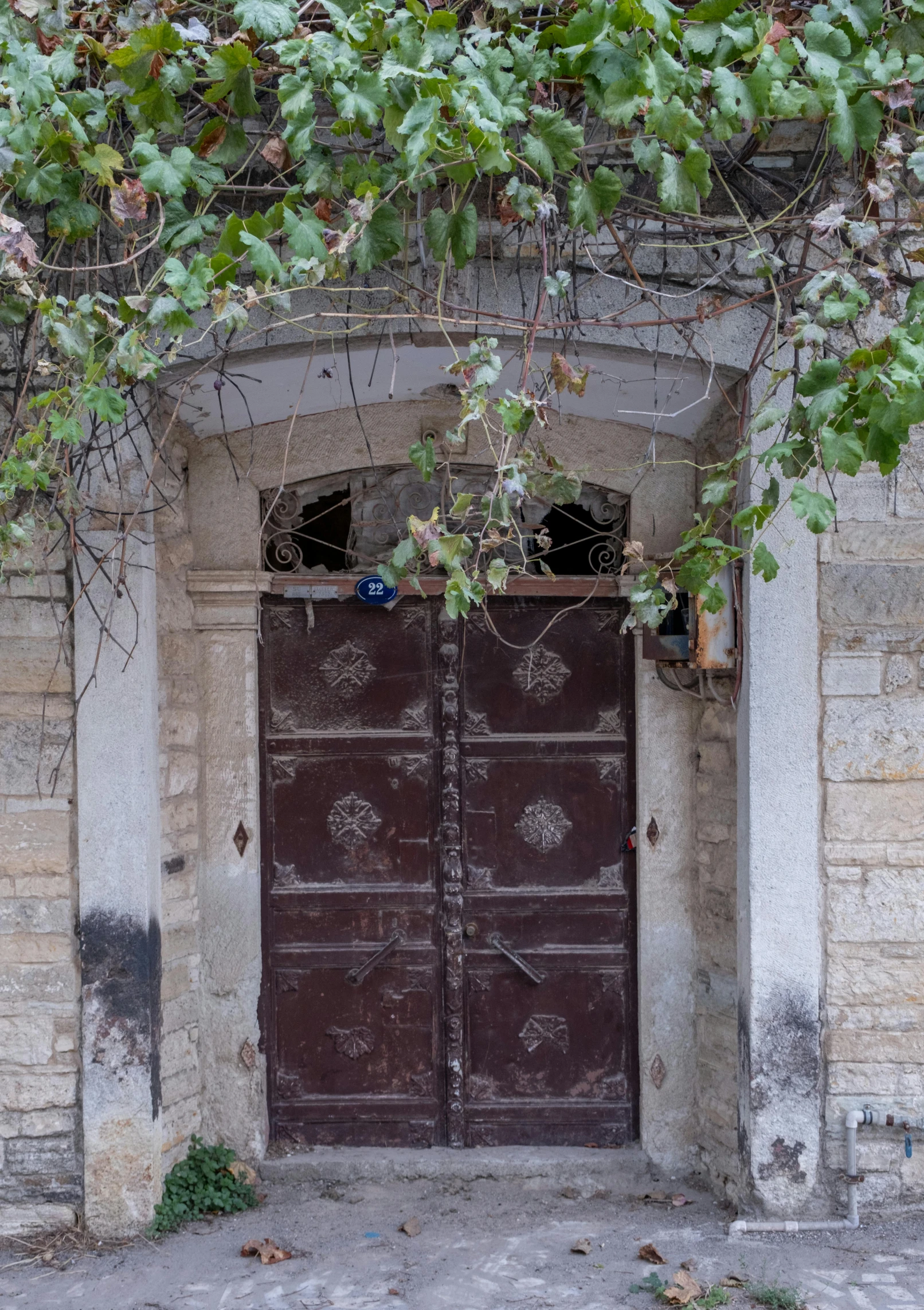 a door to the building has vines growing over it