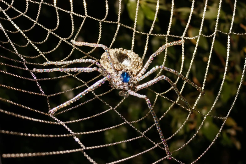 large spider with two little blue stones on it's web