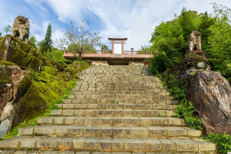 stairs made of bricks, surrounded by green plants