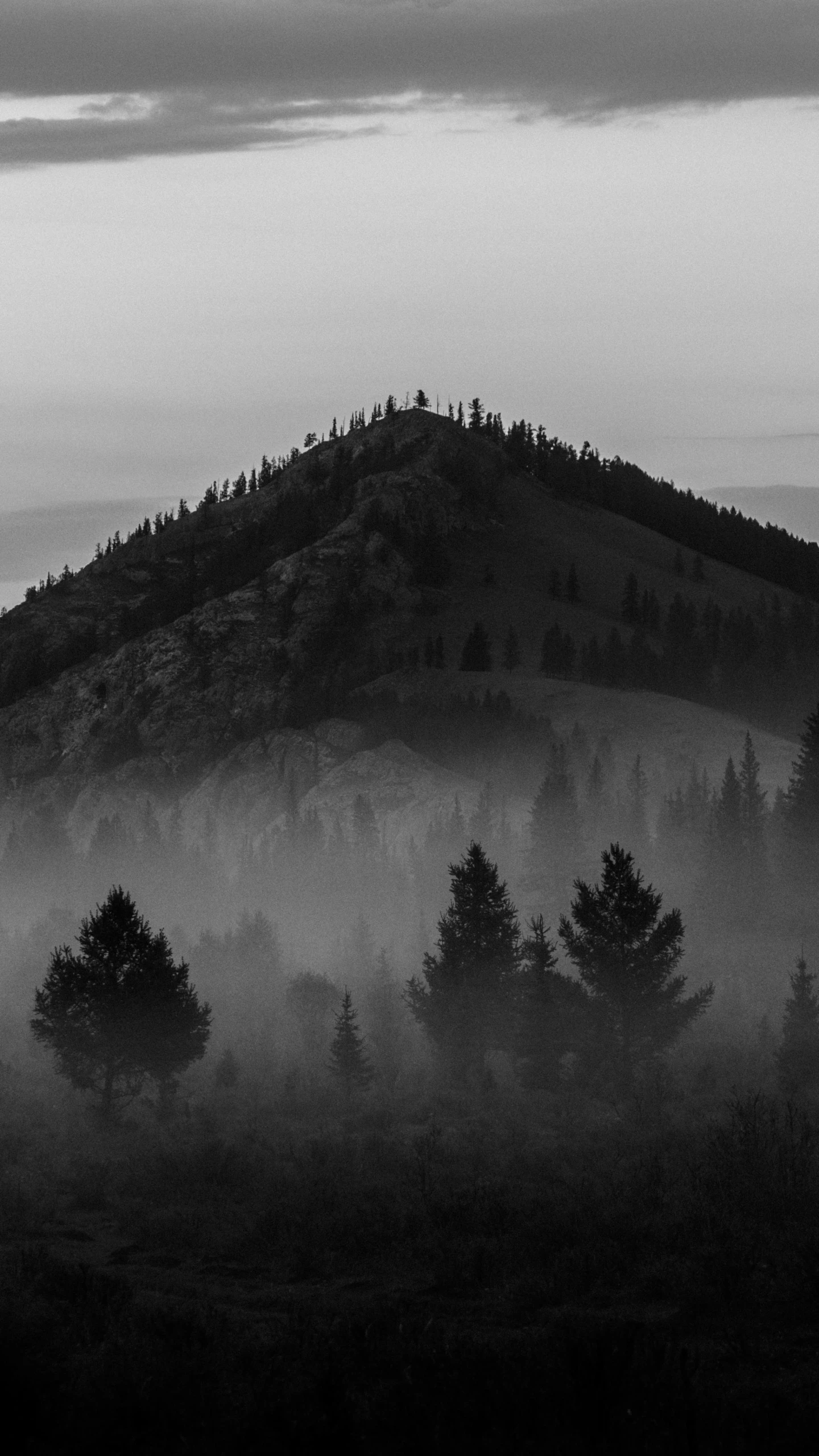 the fog is covering up a mountain on a hill