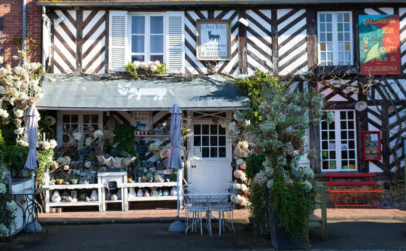 store on the side of a street with flowerpots and an awning