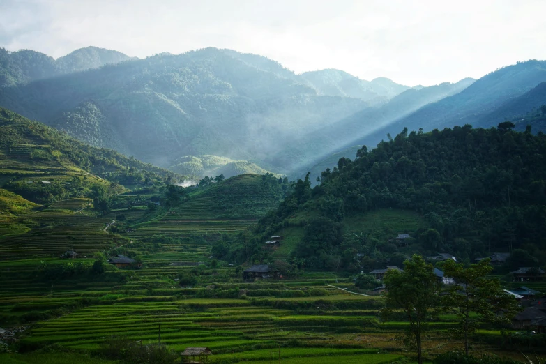 a landscape of trees and buildings at the foot of a mountain