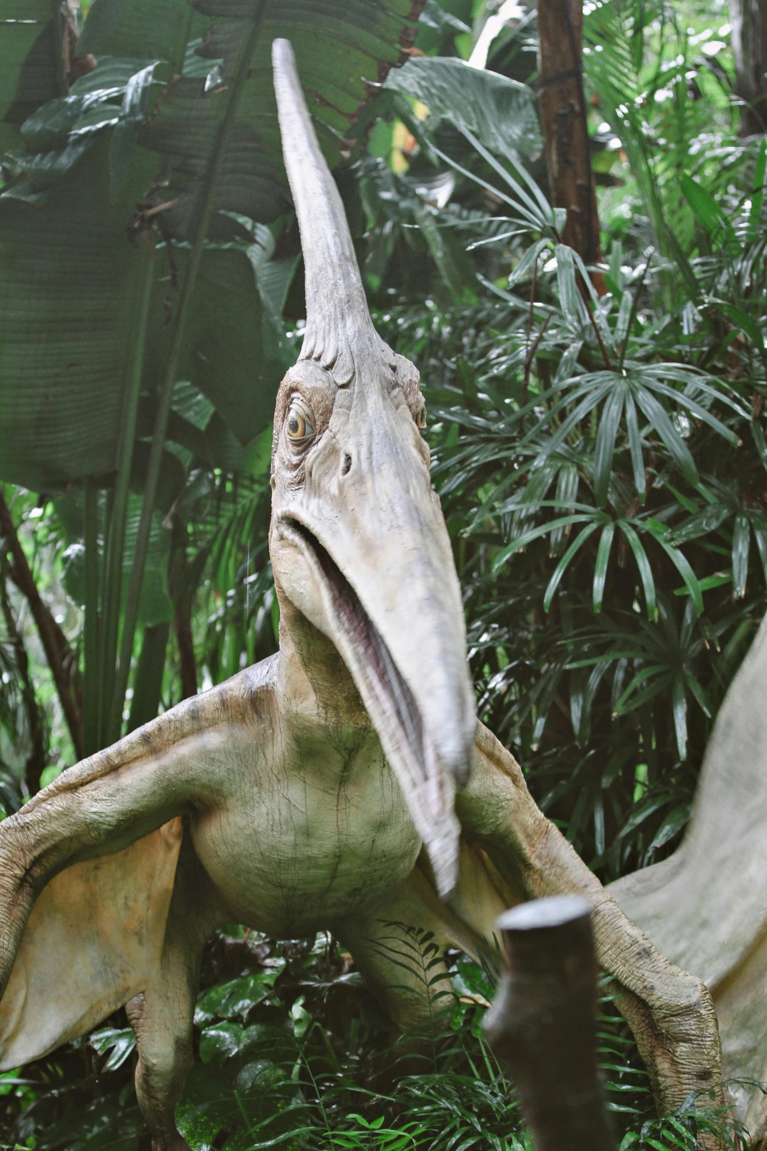 animasaurus looking upward in the jungle with trees and bushes