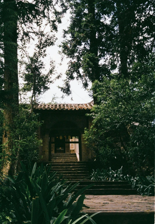 a wooden bench near a building in the woods