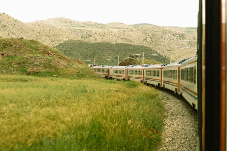 a train driving through a lush green field