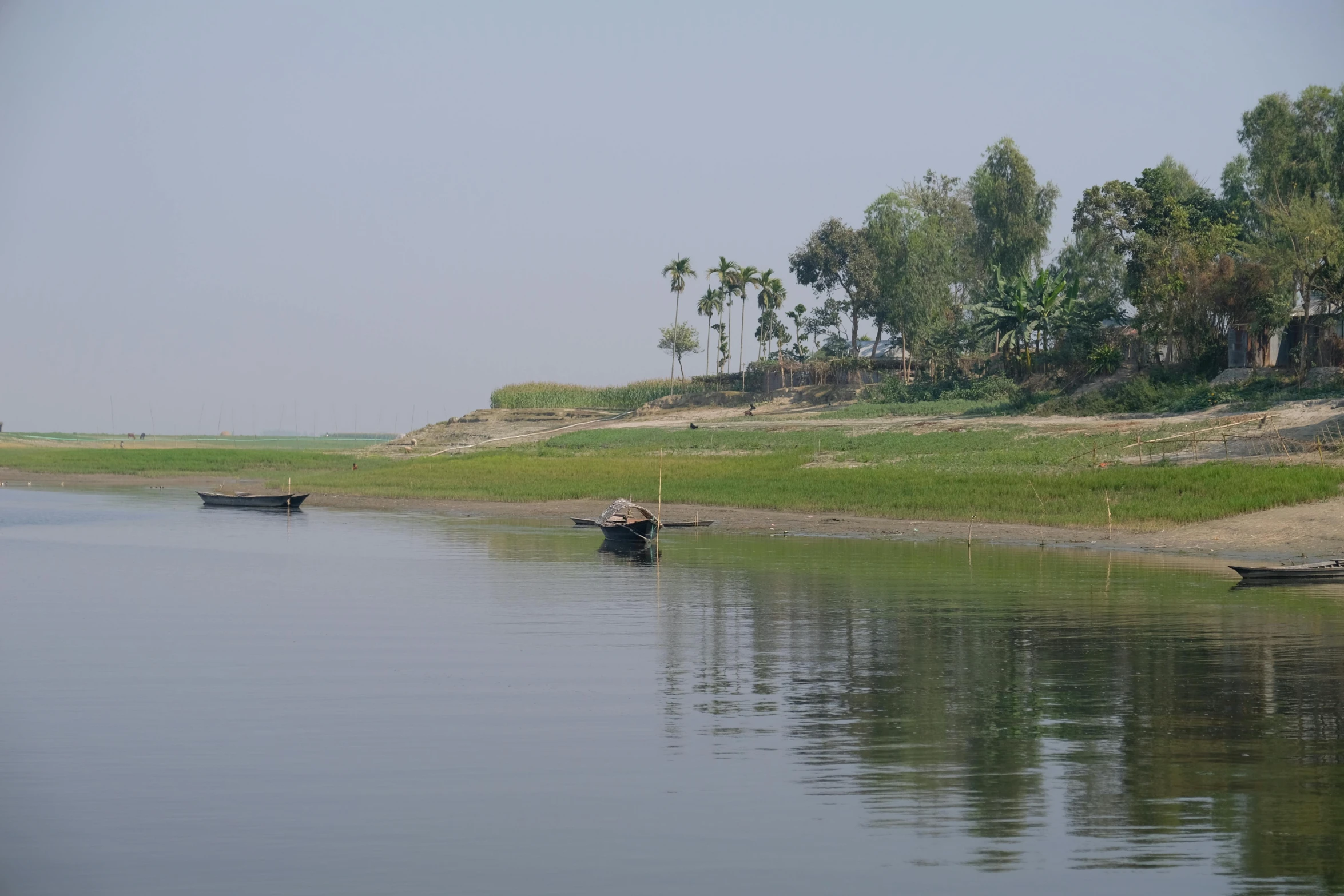 two boats floating down a river with tall grass