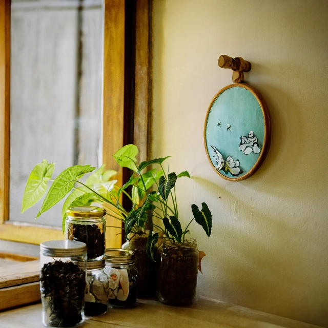 some plants sit next to some jars and a mirror