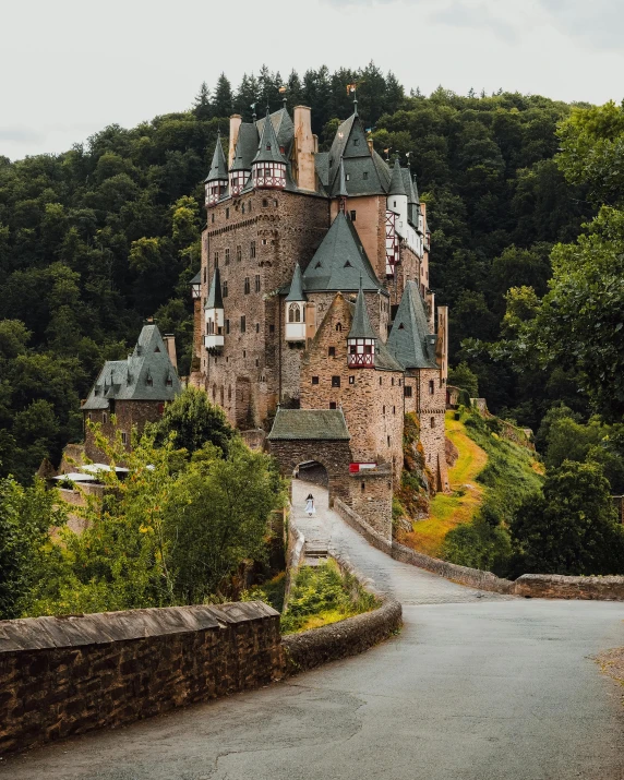 a view of a castle in the middle of a forest