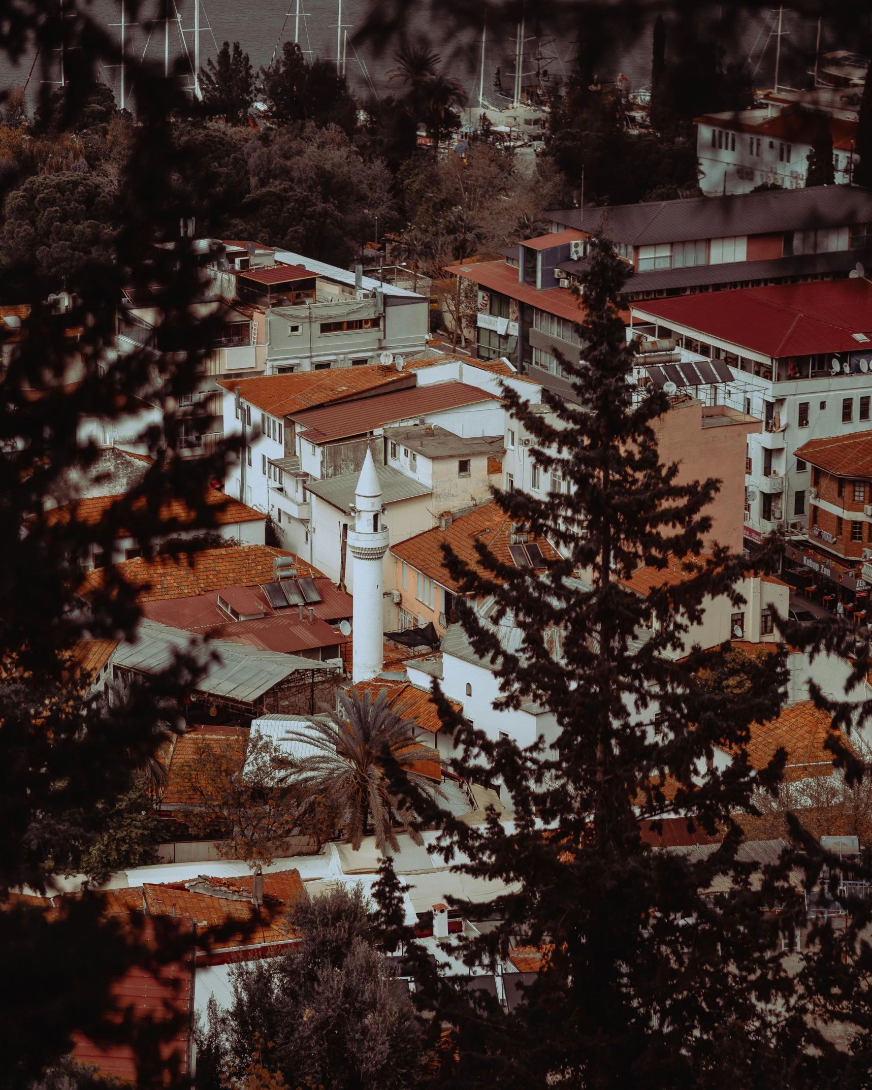 a village is nestled under some trees on the hills