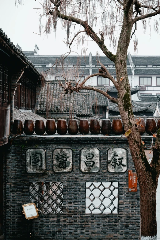 a brick building and a tree with potted plants