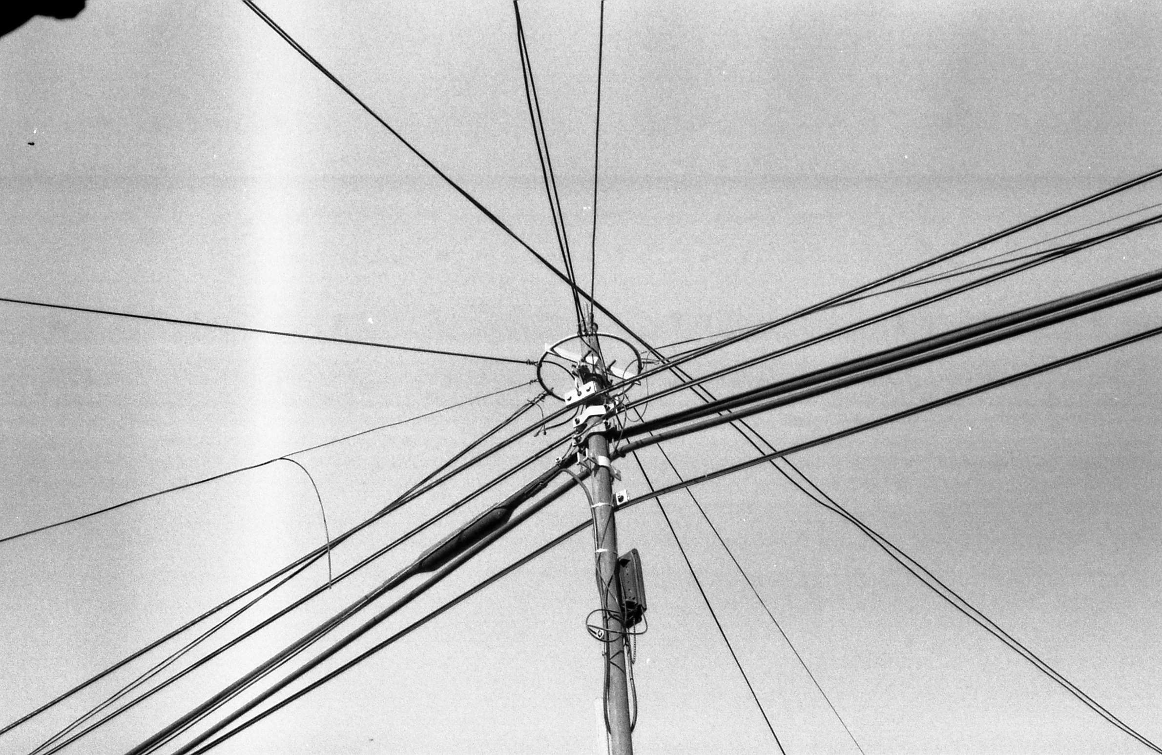 wires and telephone poles in black and white