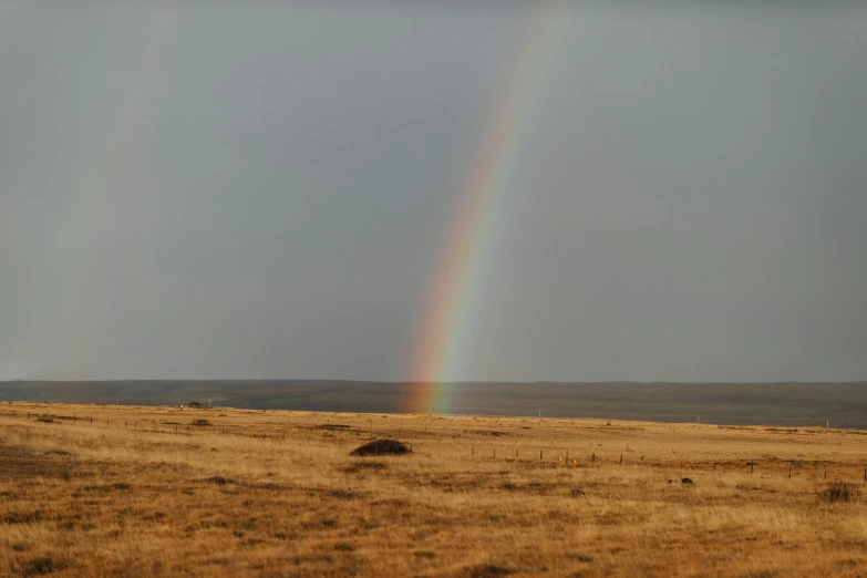 a rainbow appears over an open plains landscape