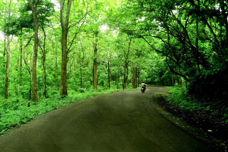 there is a motorcycle that can be seen going down this road