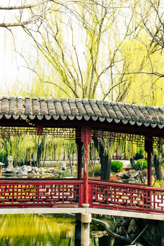 the view of a bridge, in an oriental - looking park