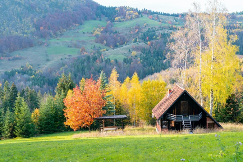 two cabins with mountains in the background on a sunny day