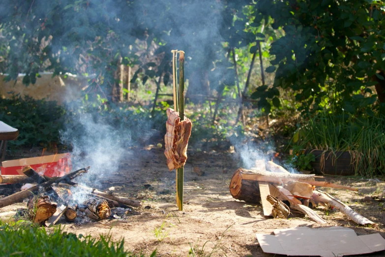 a log fire burning next to some trees