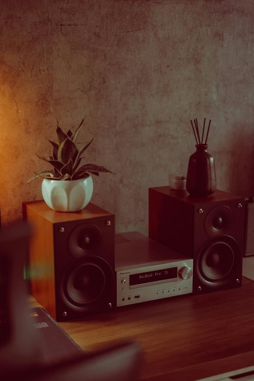 speakers on a wood table with a plant sitting on top