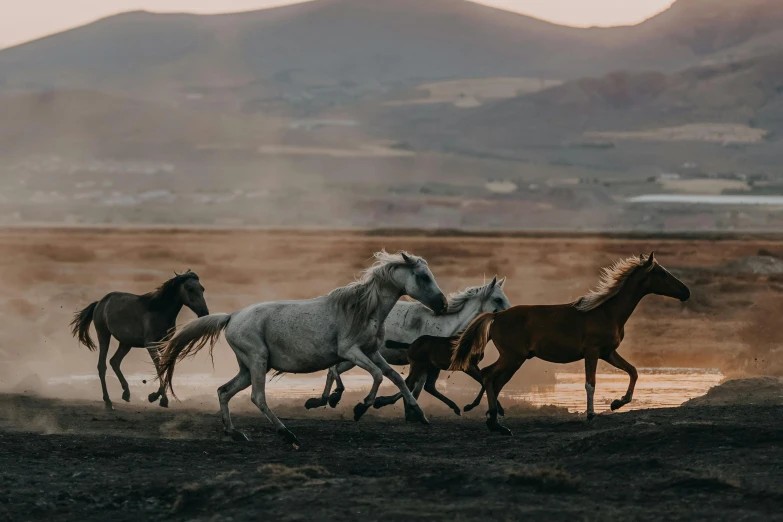 five horses running in a field next to some hills