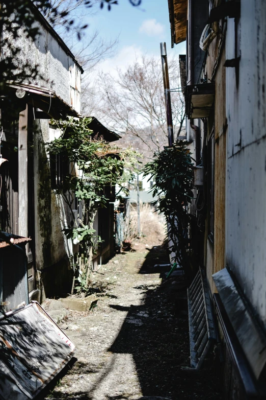 small narrow alley in a small village with no people