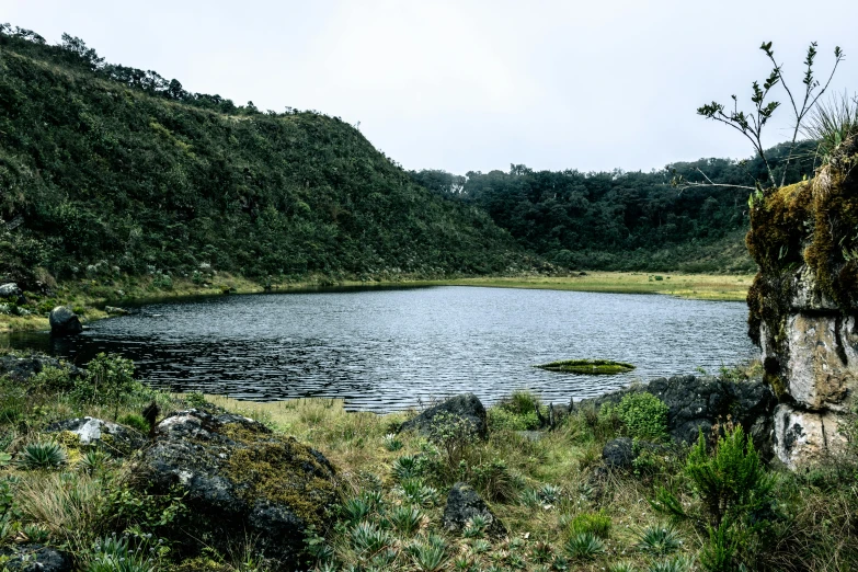 a large lake surrounded by grass and trees