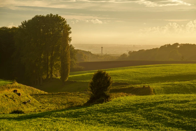 a view of an expansive green pasture with cattle