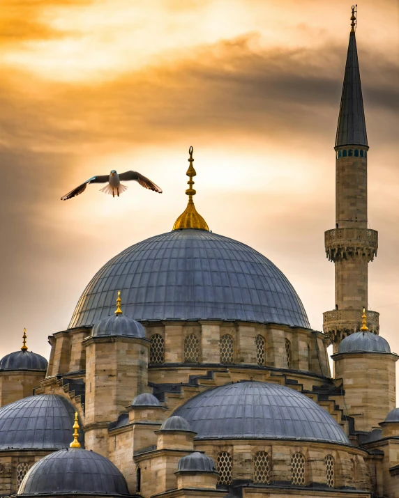 the silhouette of a bird flying above a building that has several domes