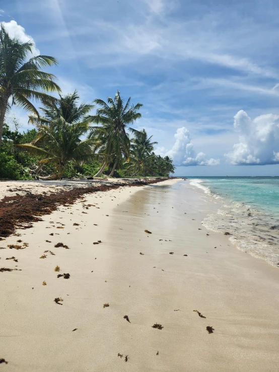 the clear ocean has several footprints in it