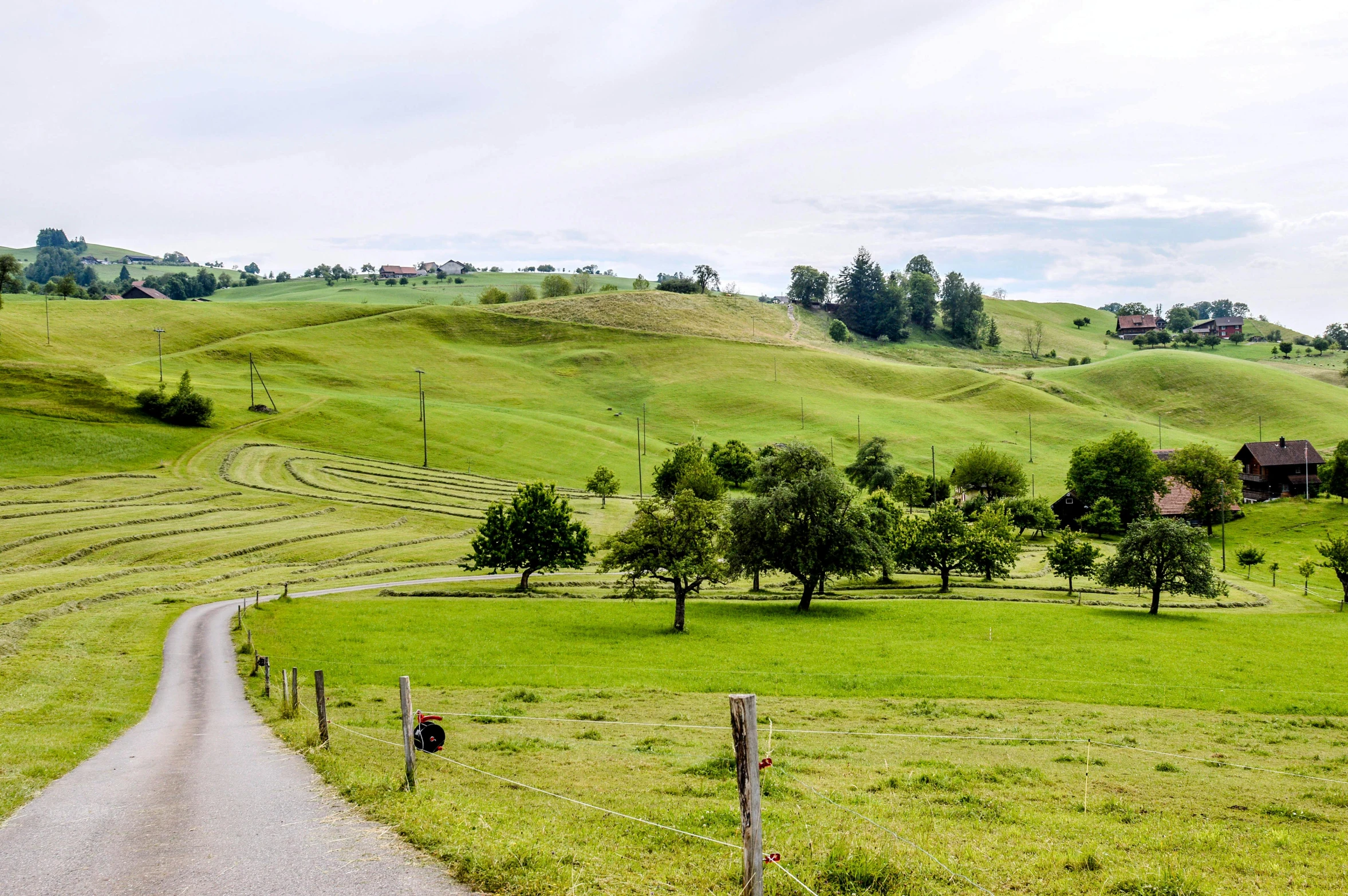 an open field with a small road through the middle