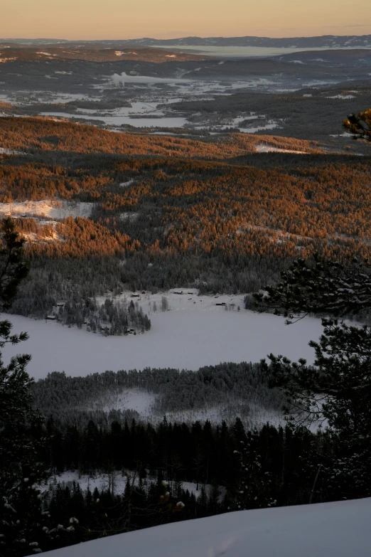 there is a snow covered hill near a forest