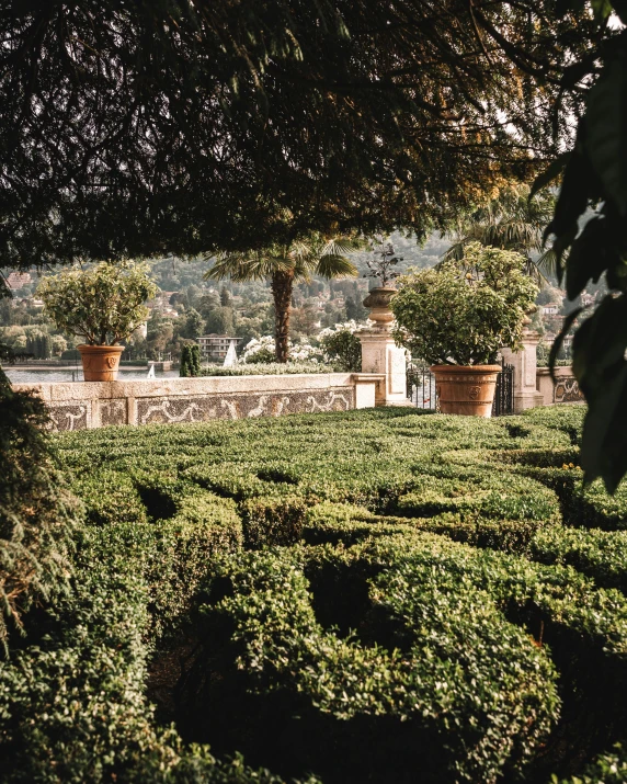 an image of a nice garden setting with pots