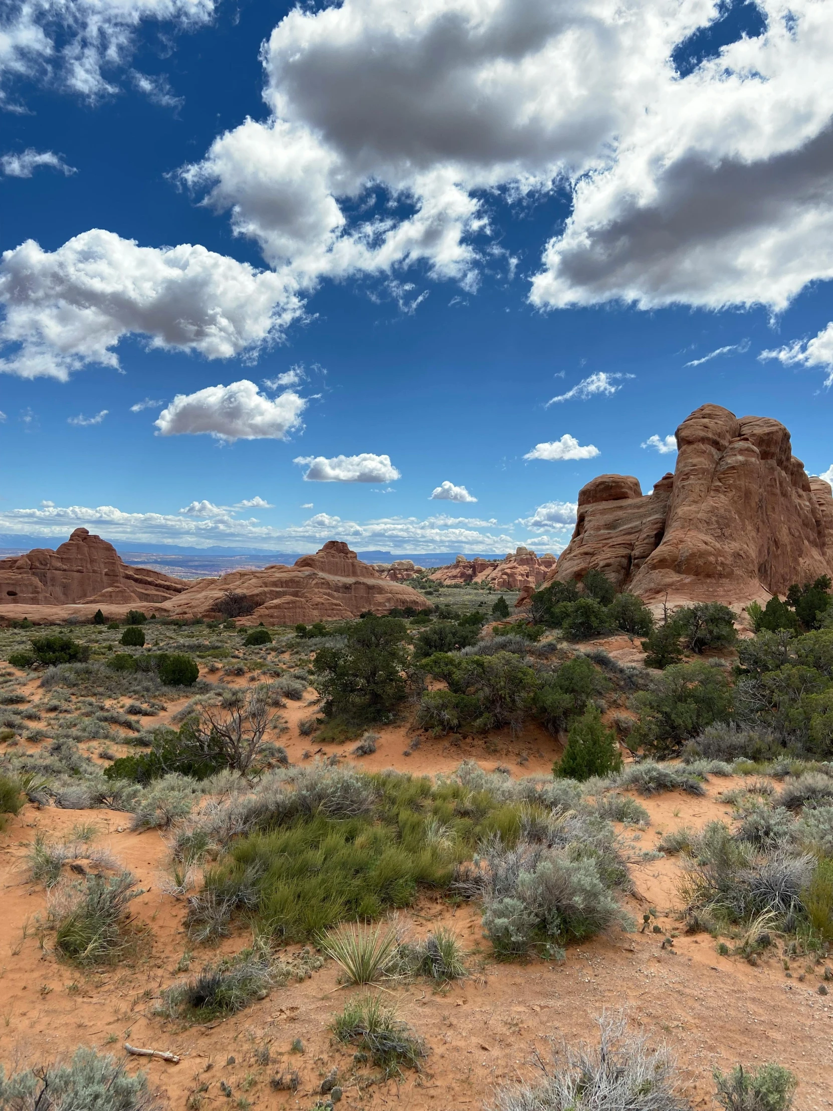 landscape image of desert with trees and clouds