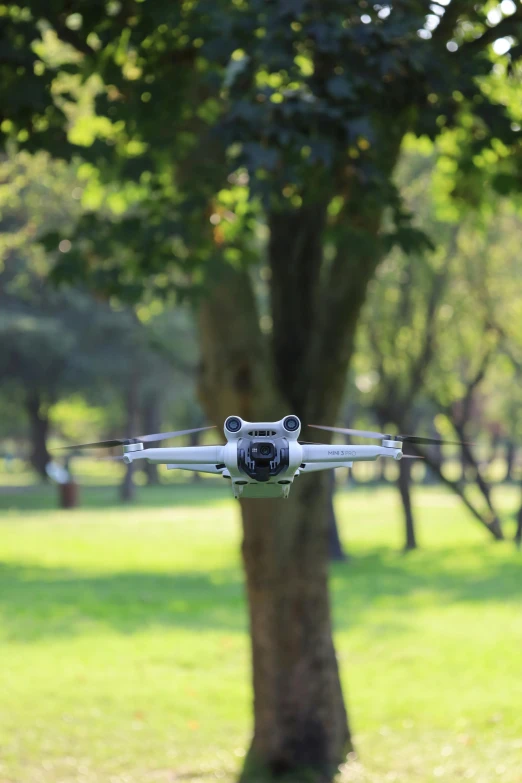 a small airplane is flying near a tree