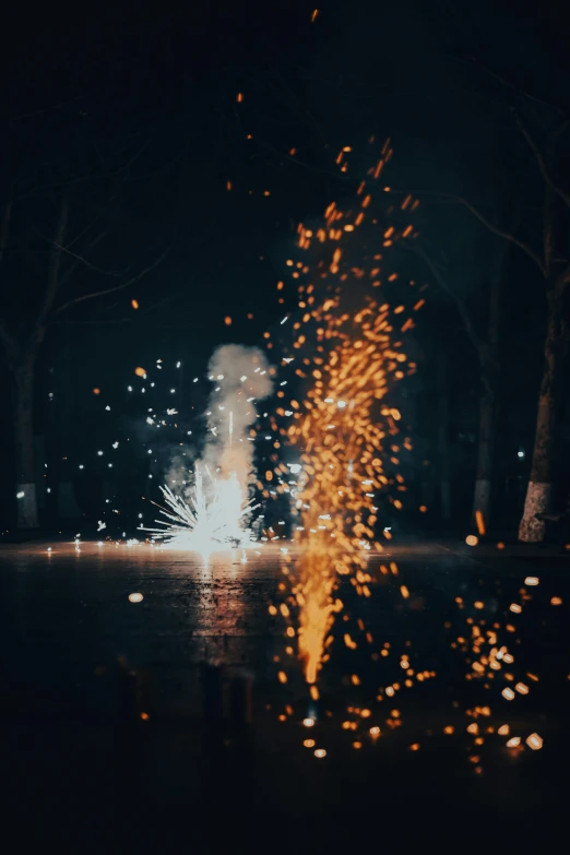 bright fireworks are lit up in the night sky