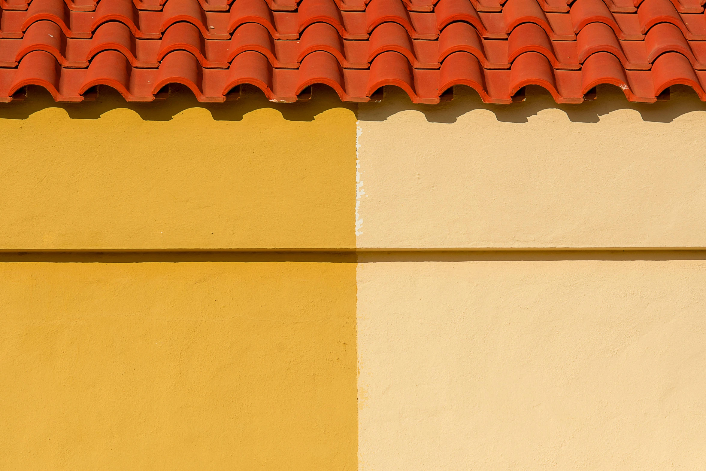 a cat sits on the edge of an orange and yellow wall