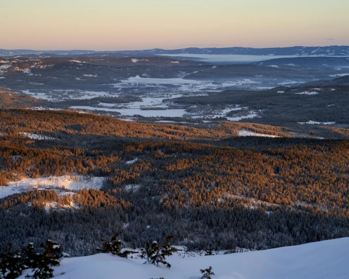 a scenic mountain landscape with trees in the foreground and another tree line at the far end