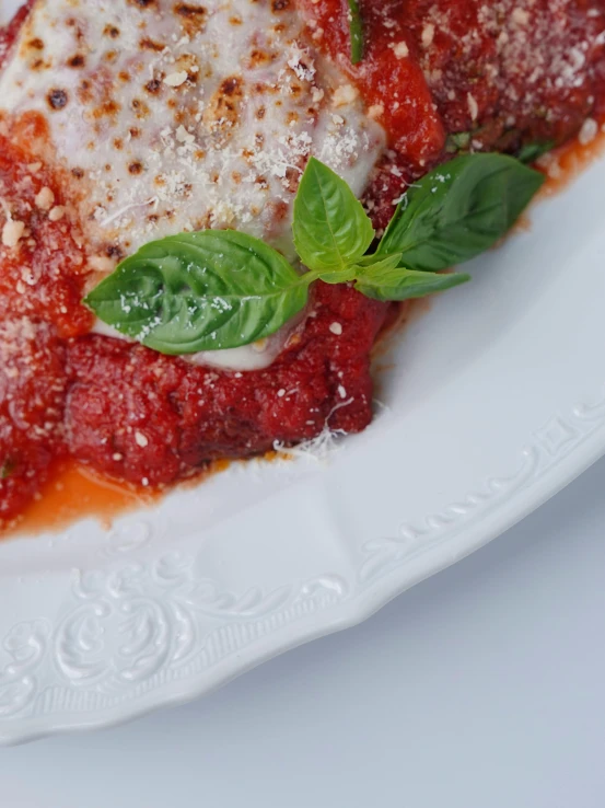 a white plate with pasta, tomato sauce, and basil